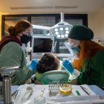 Patients receiving treatment at a dental clinic with two professional dentists wearing protective gear.